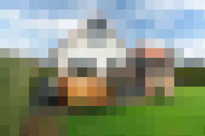 Bargereed 19 Tzummarum thumbnail 17