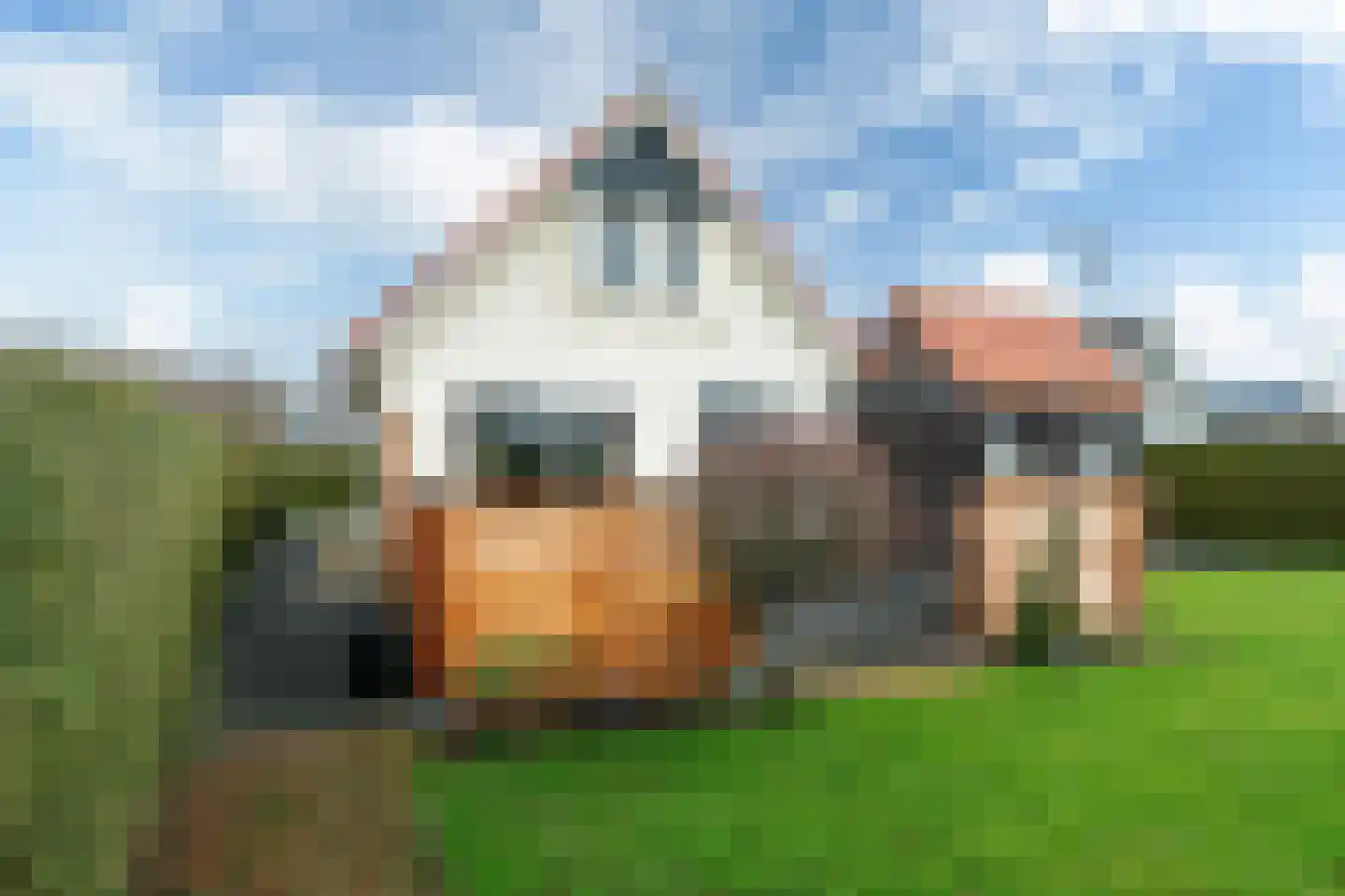 Bargereed 19 Tzummarum thumbnail 17