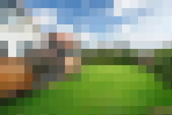 Bargereed 19 Tzummarum thumbnail 18