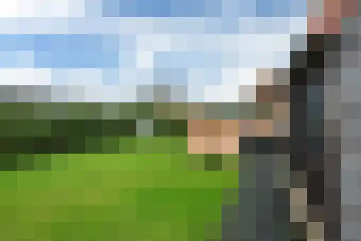 Bargereed 19 Tzummarum thumbnail 19