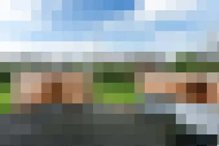 Bargereed 19 Tzummarum thumbnail 21