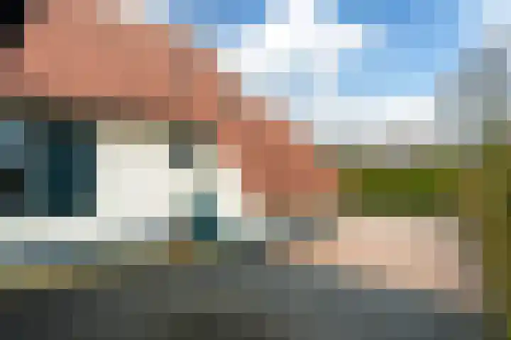 Bargereed 19 Tzummarum thumbnail 22