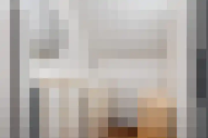Bargereed 19 Tzummarum thumbnail 25