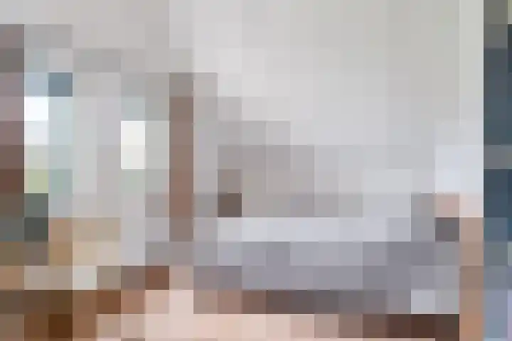 Bargereed 19 Tzummarum thumbnail 28