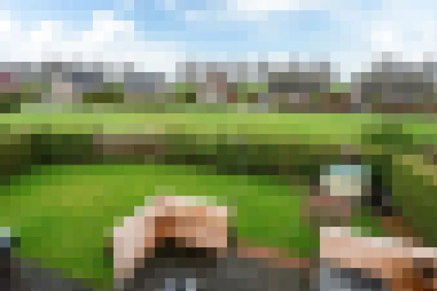 Bargereed 19 Tzummarum thumbnail 30
