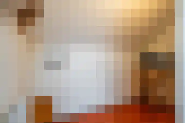 Bargereed 19 Tzummarum thumbnail 32