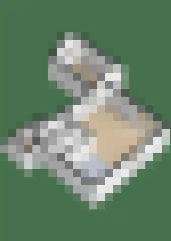 Bargereed 19 Tzummarum thumbnail 35