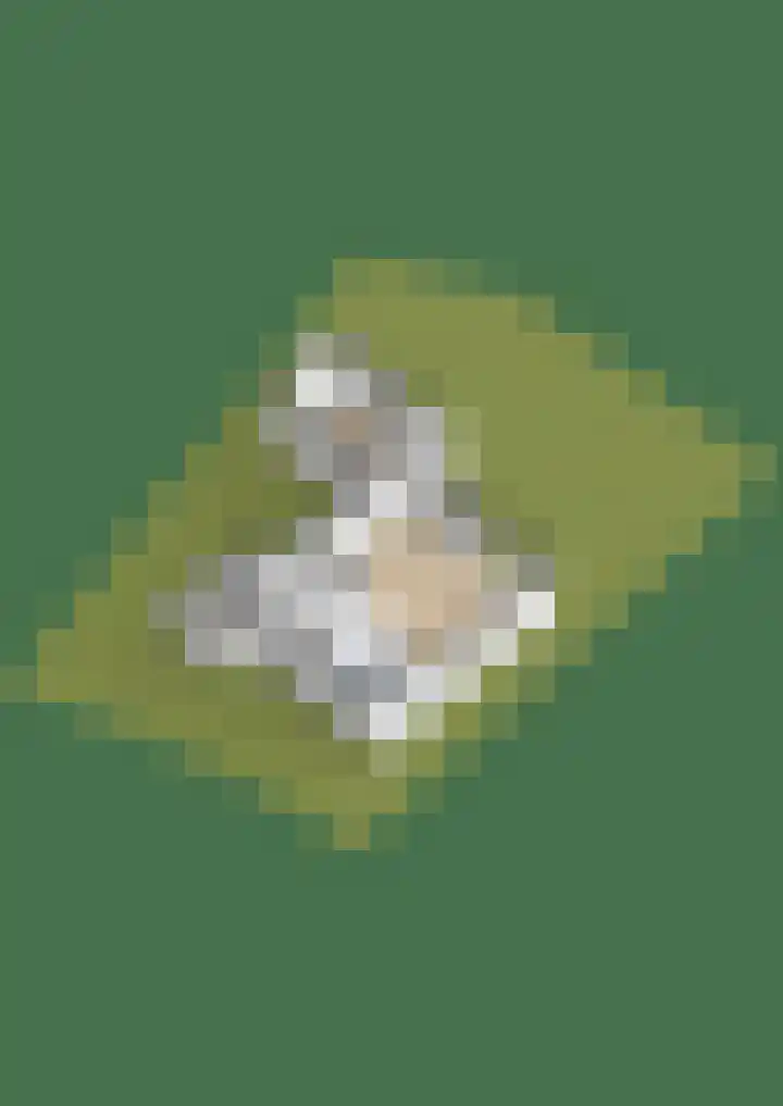 Bargereed 19 Tzummarum thumbnail 39