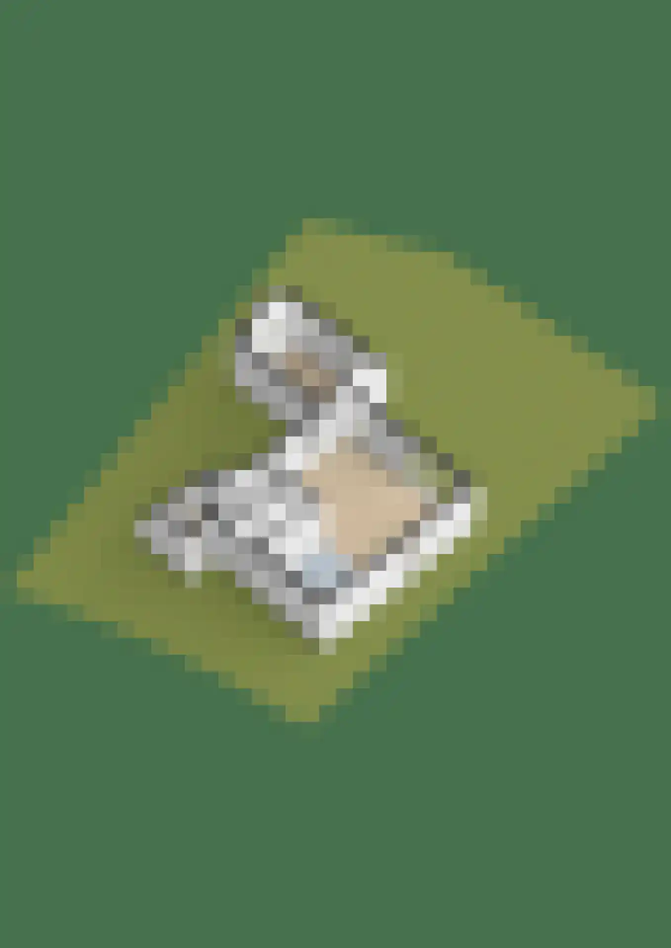 Bargereed 19 Tzummarum thumbnail 39