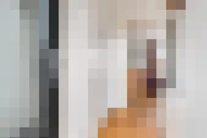 Bargereed 19 Tzummarum thumbnail 4