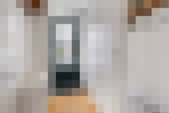 Bargereed 19 Tzummarum thumbnail 6