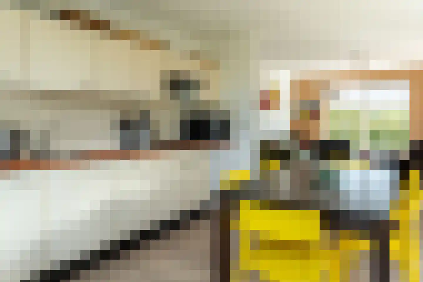 Bargereed 2 Tzummarum thumbnail 12