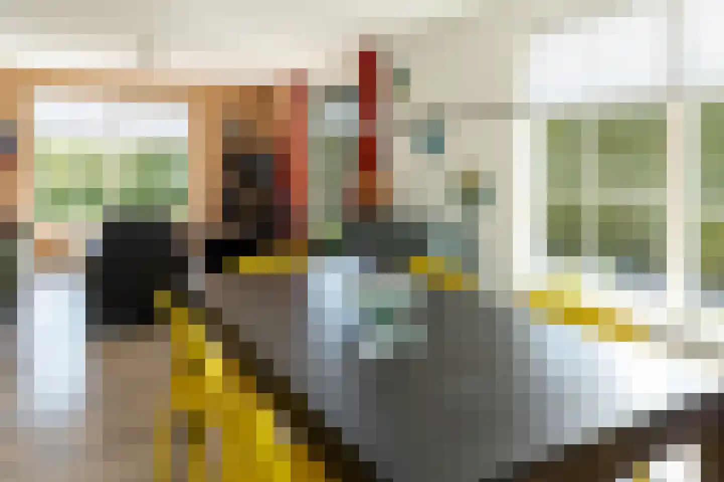 Bargereed 2 Tzummarum thumbnail 13