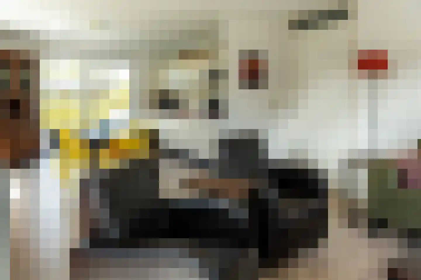 Bargereed 2 Tzummarum thumbnail 17
