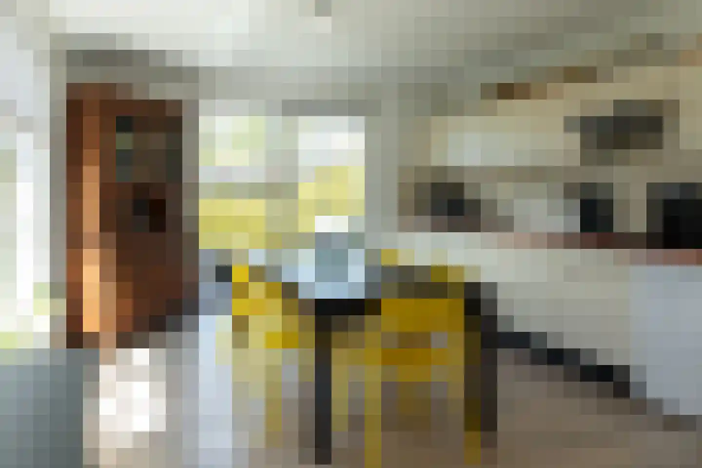 Bargereed 2 Tzummarum thumbnail 19
