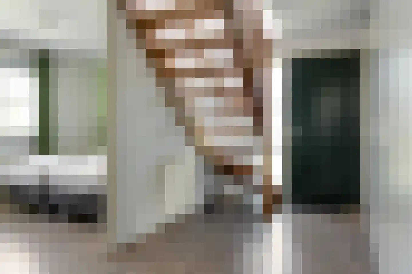 Bargereed 2 Tzummarum thumbnail 20