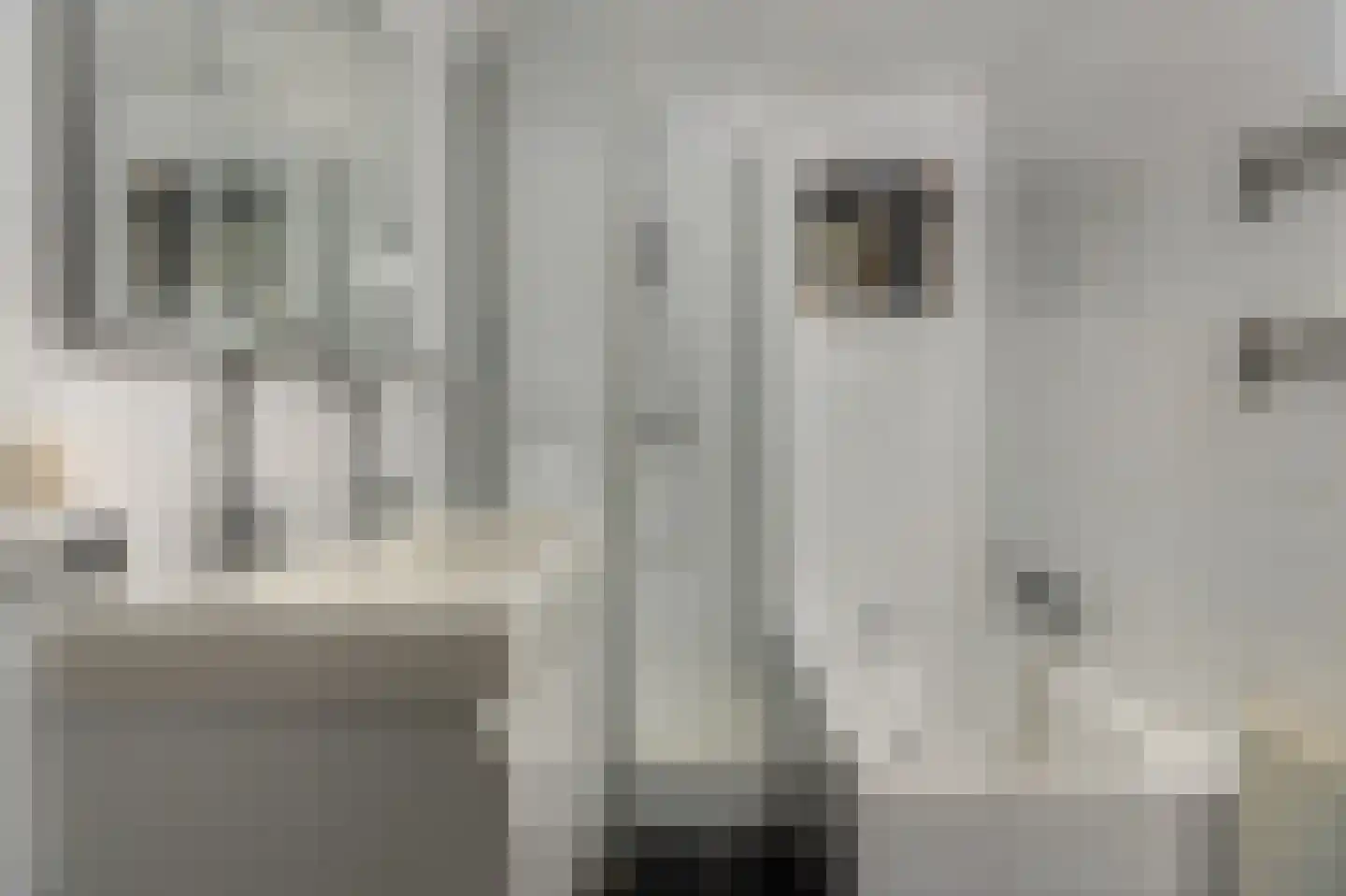 Bargereed 2 Tzummarum thumbnail 22