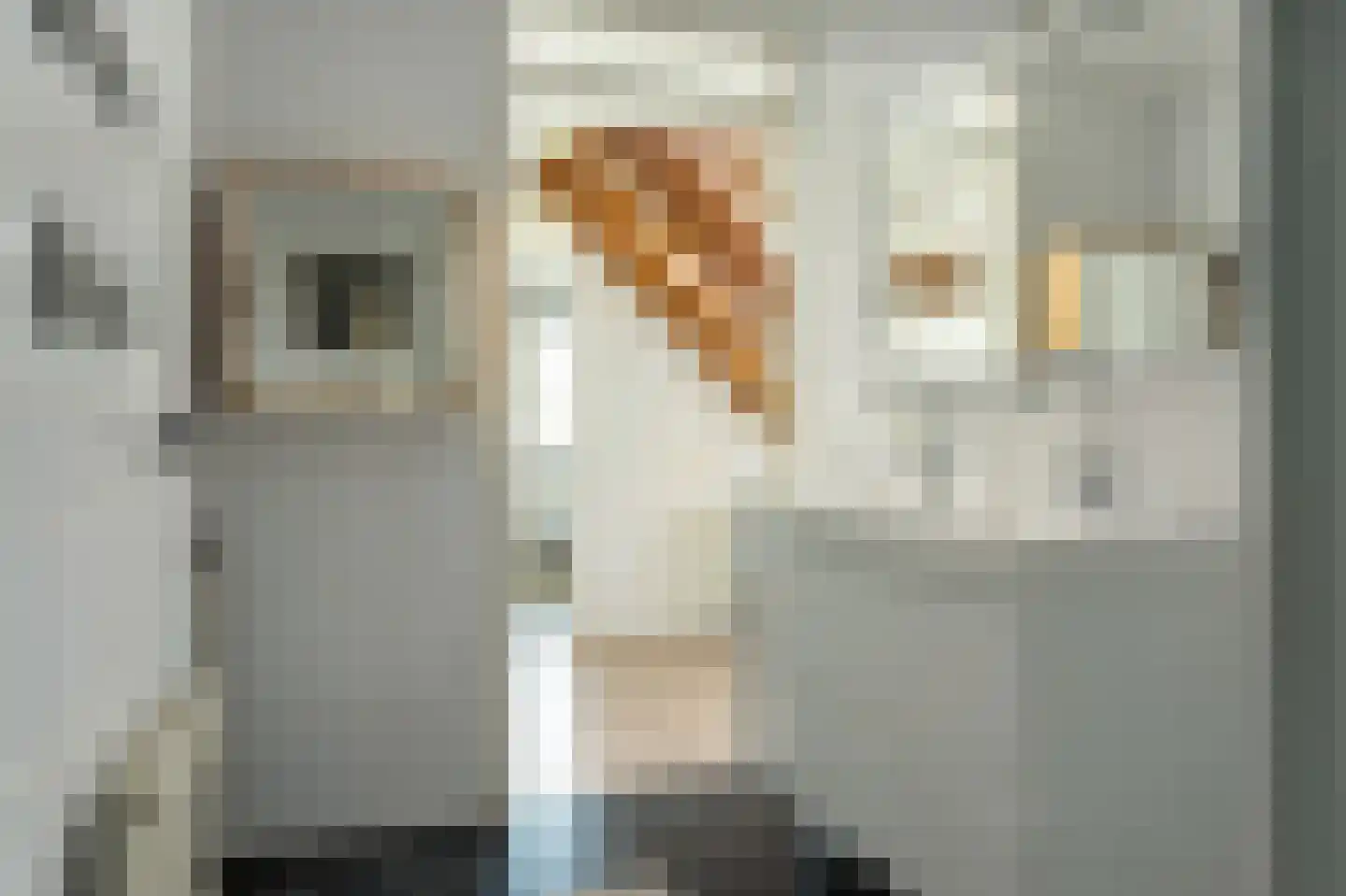 Bargereed 2 Tzummarum thumbnail 23