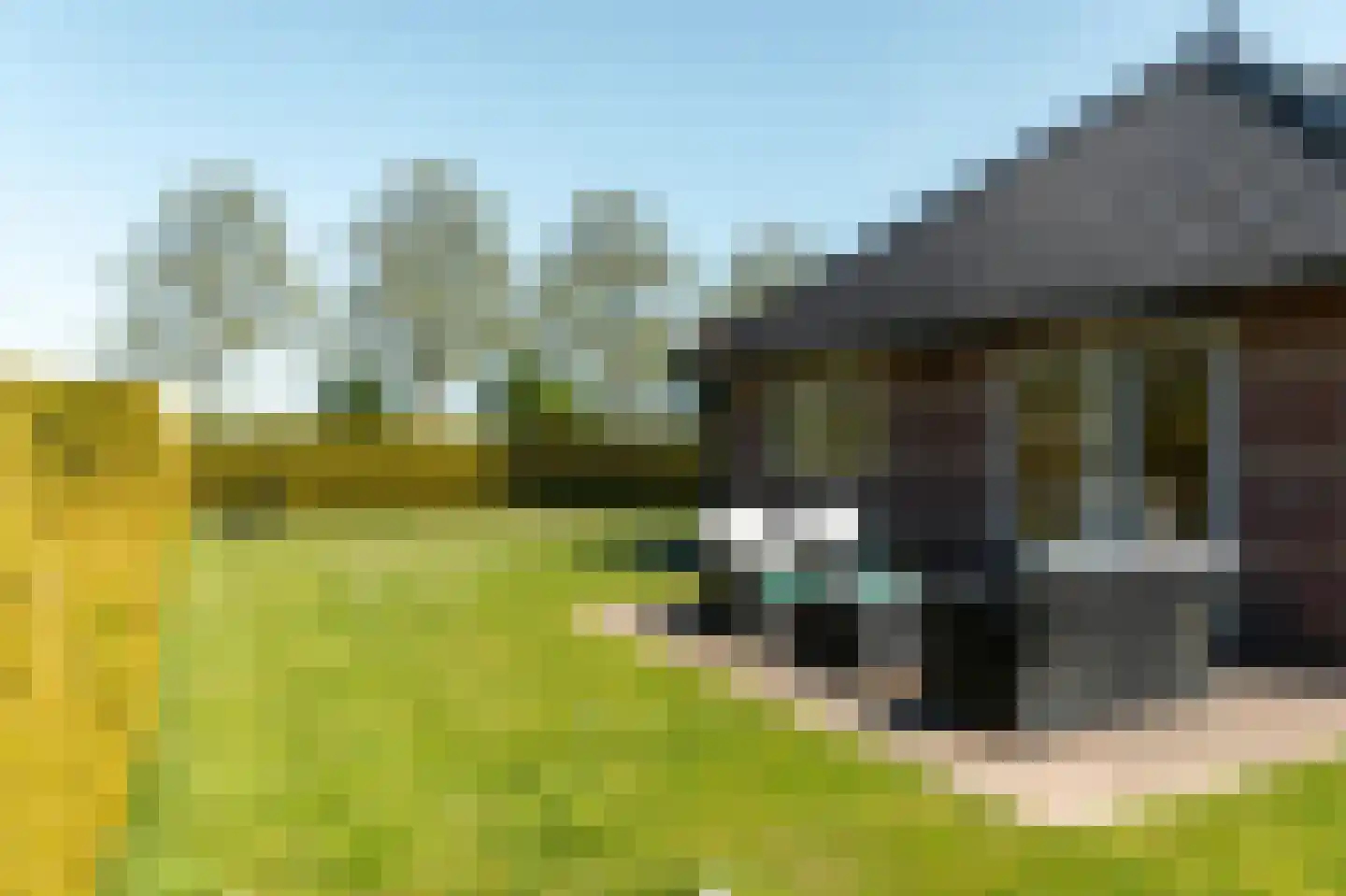 Bargereed 2 Tzummarum thumbnail 31