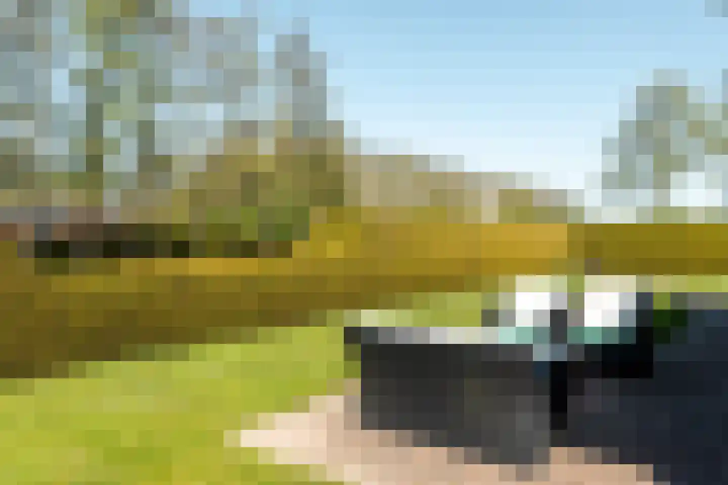 Bargereed 2 Tzummarum thumbnail 32