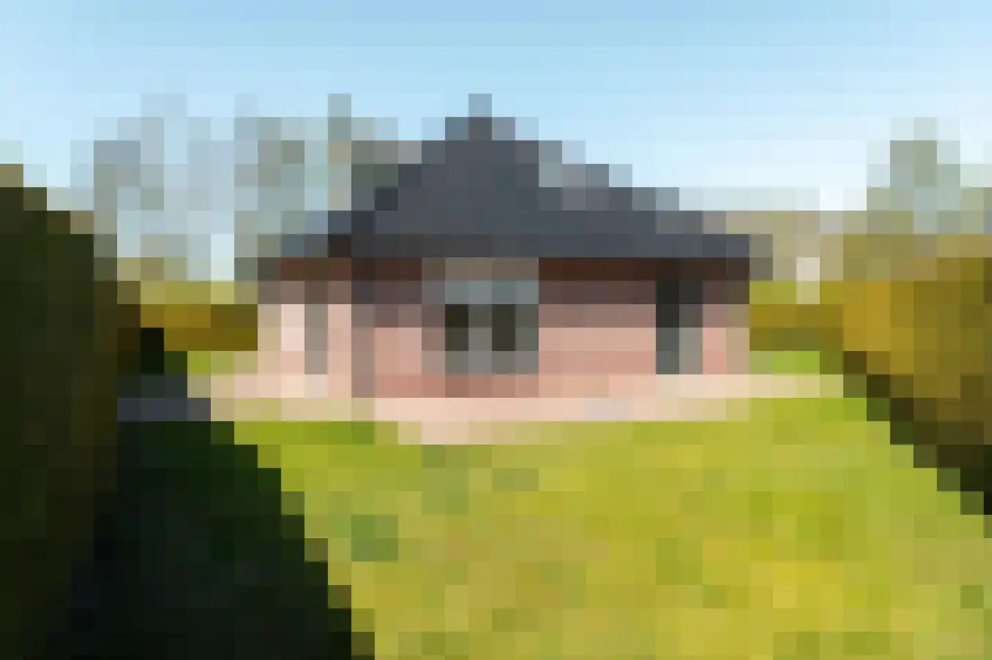 Bargereed 2 Tzummarum thumbnail 34