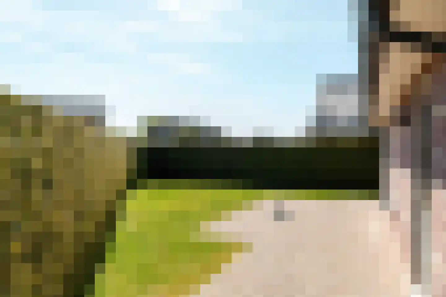 Bargereed 2 Tzummarum thumbnail 35