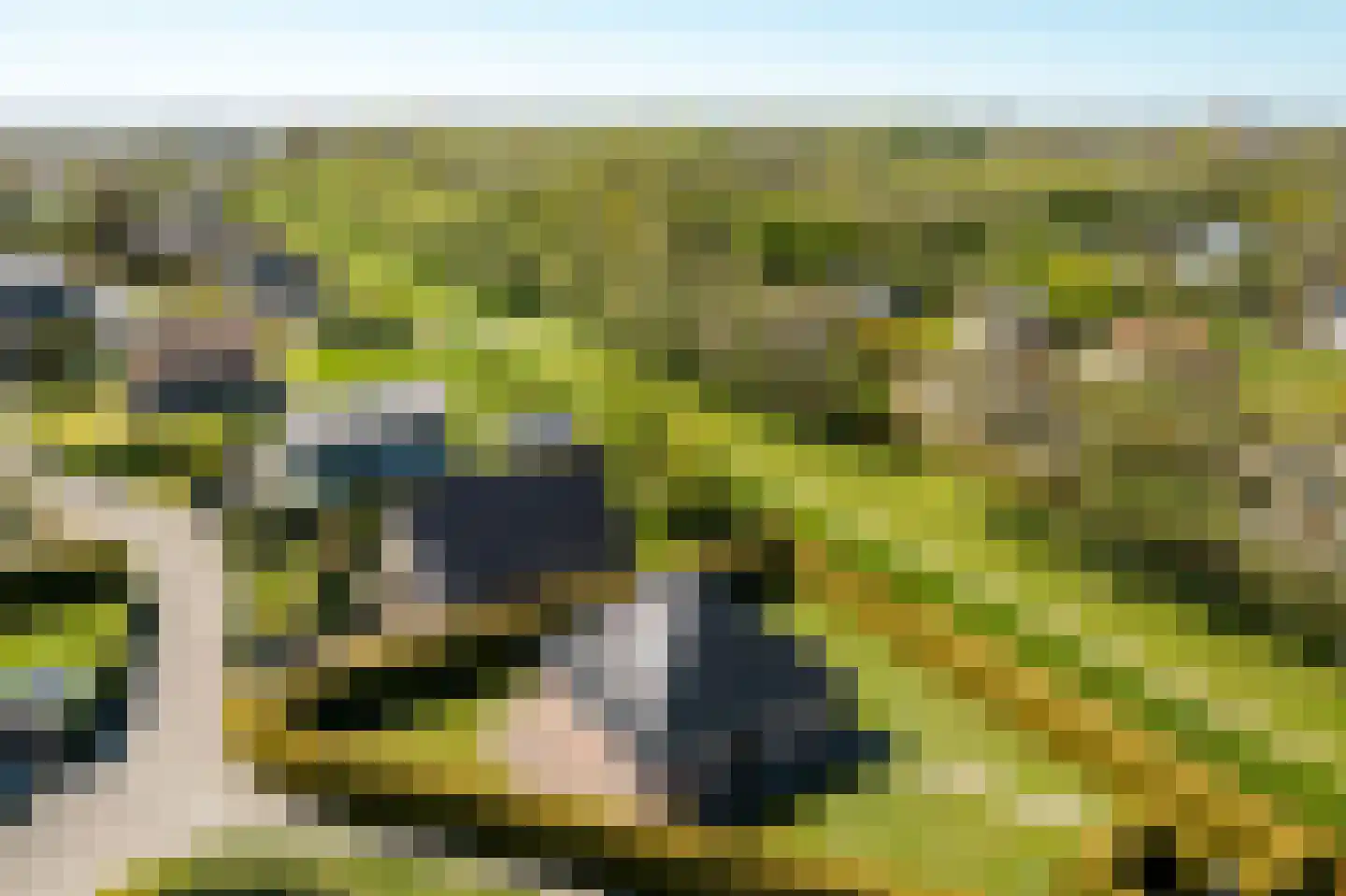 Bargereed 2 Tzummarum thumbnail 6
