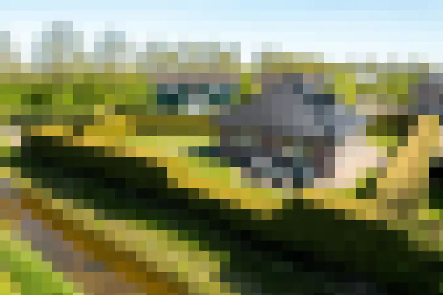 Bargereed 2 Tzummarum thumbnail 7