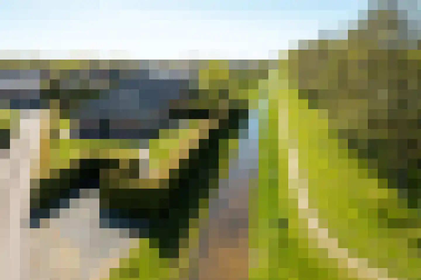 Bargereed 2 Tzummarum thumbnail 8