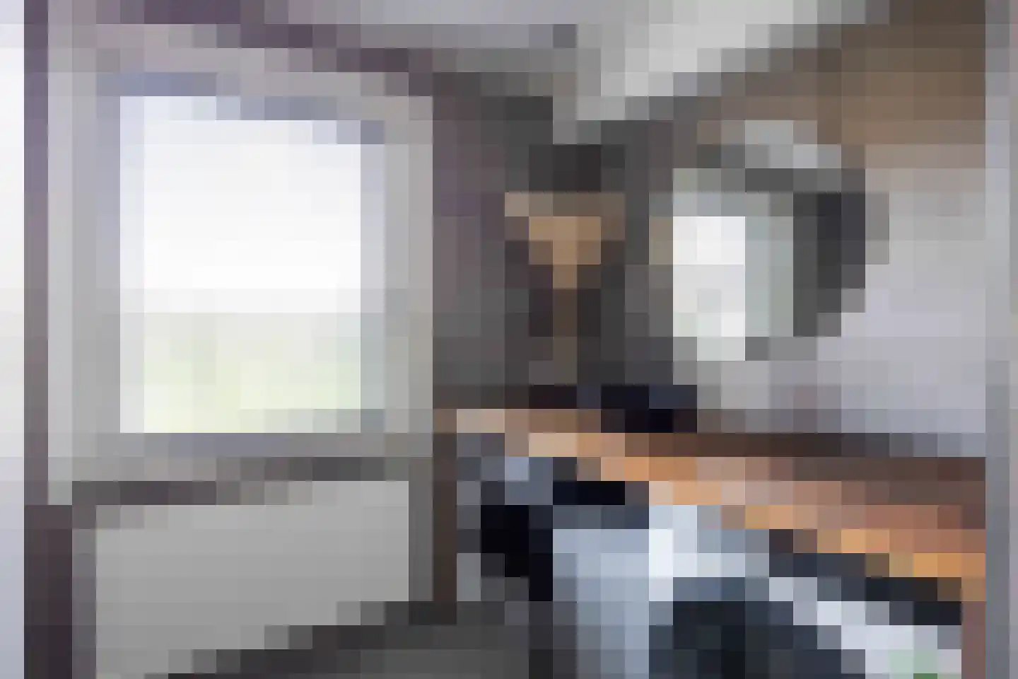 Bargereed 31 Tzummarum thumbnail 12