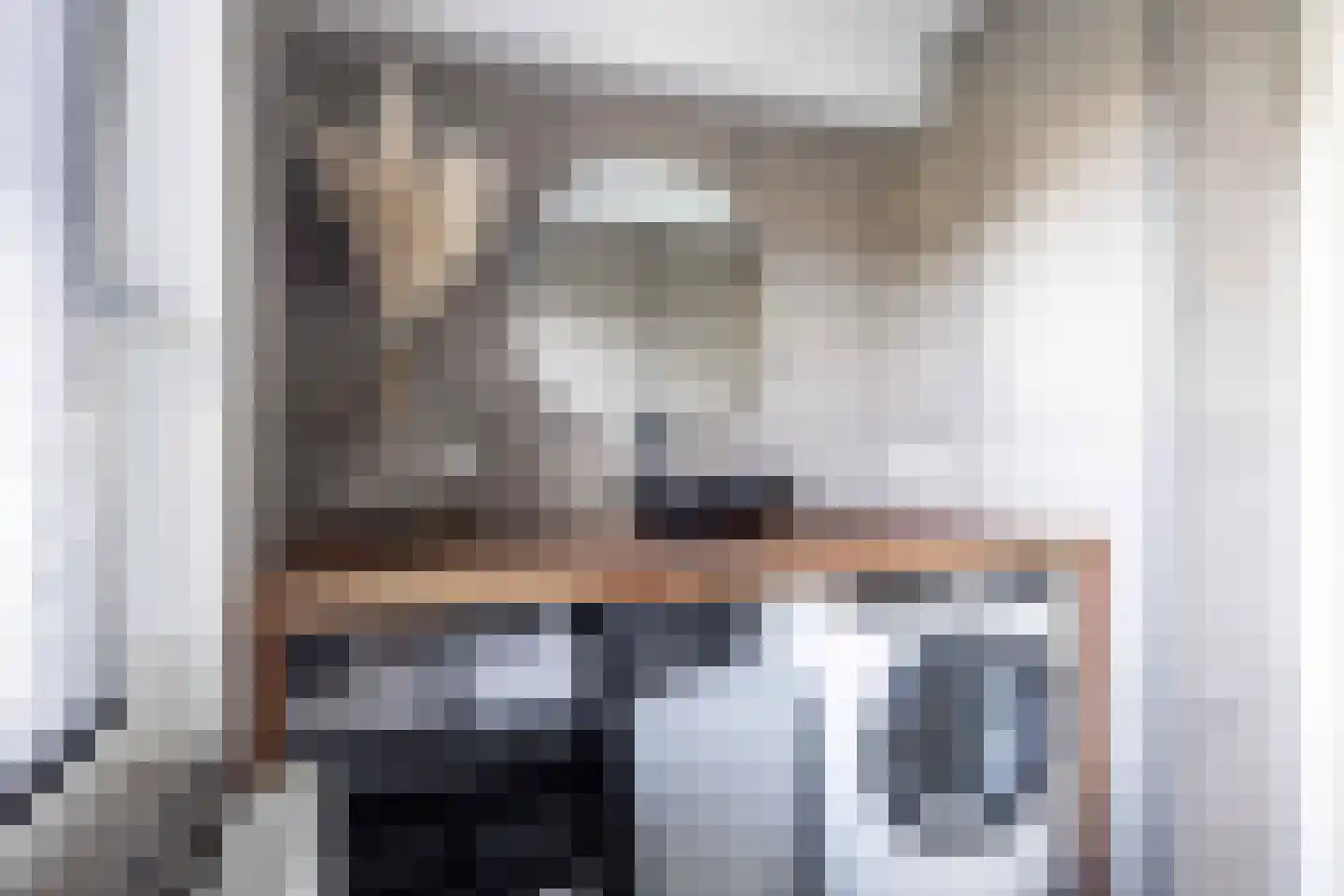 Bargereed 31 Tzummarum thumbnail 14