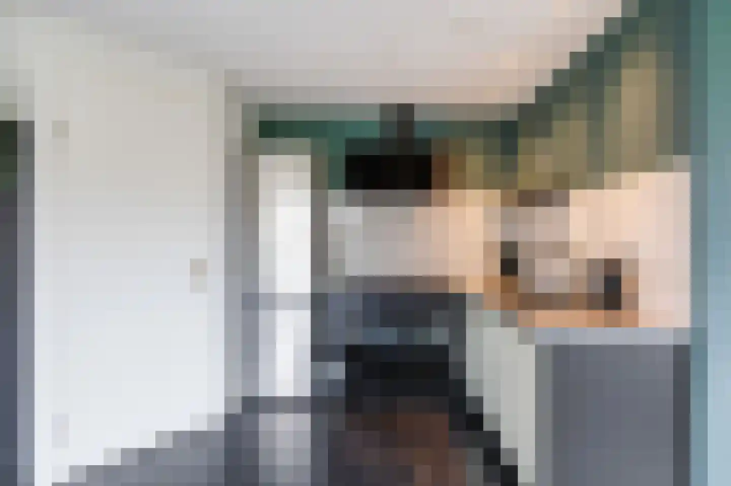 Bargereed 31 Tzummarum thumbnail 18