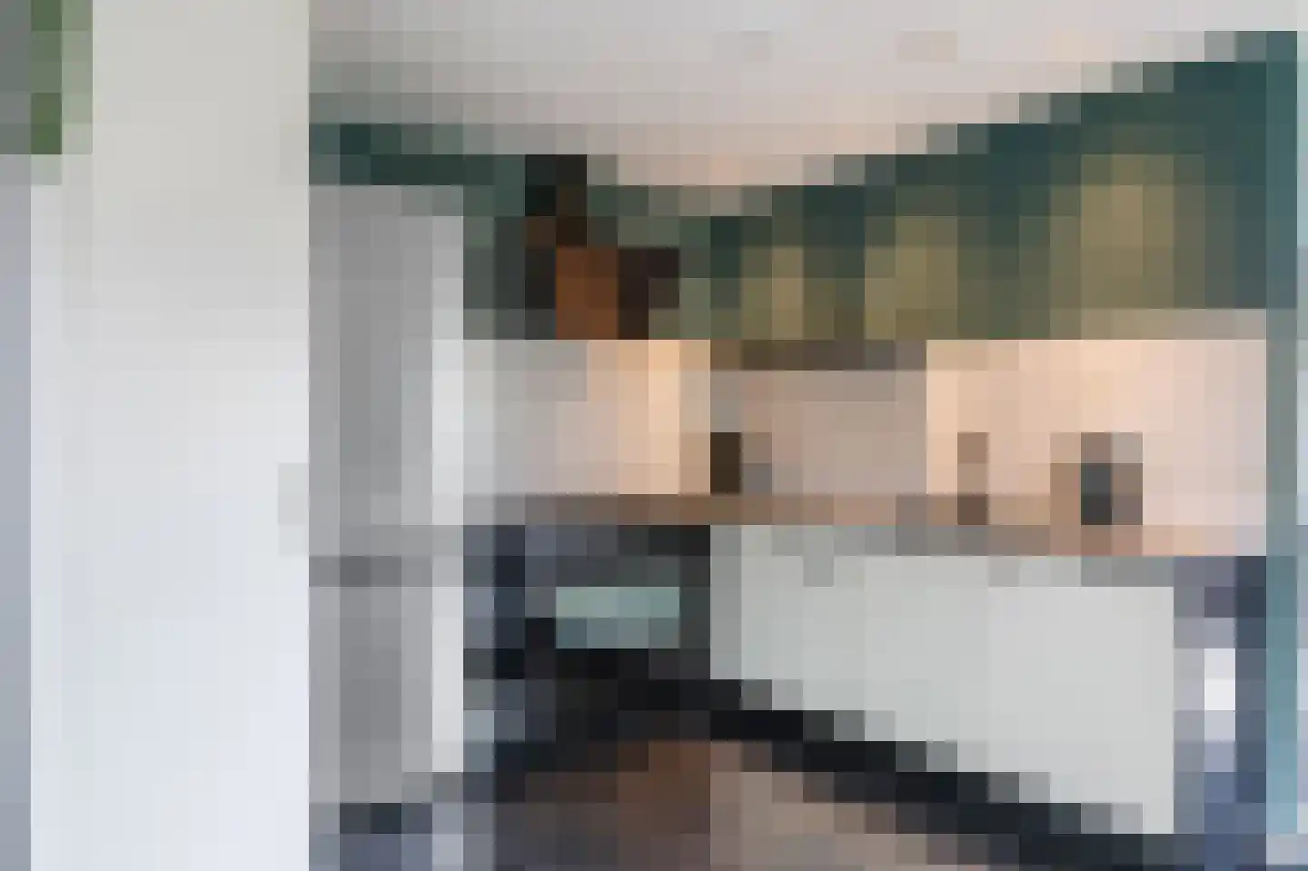 Bargereed 31 Tzummarum thumbnail 19