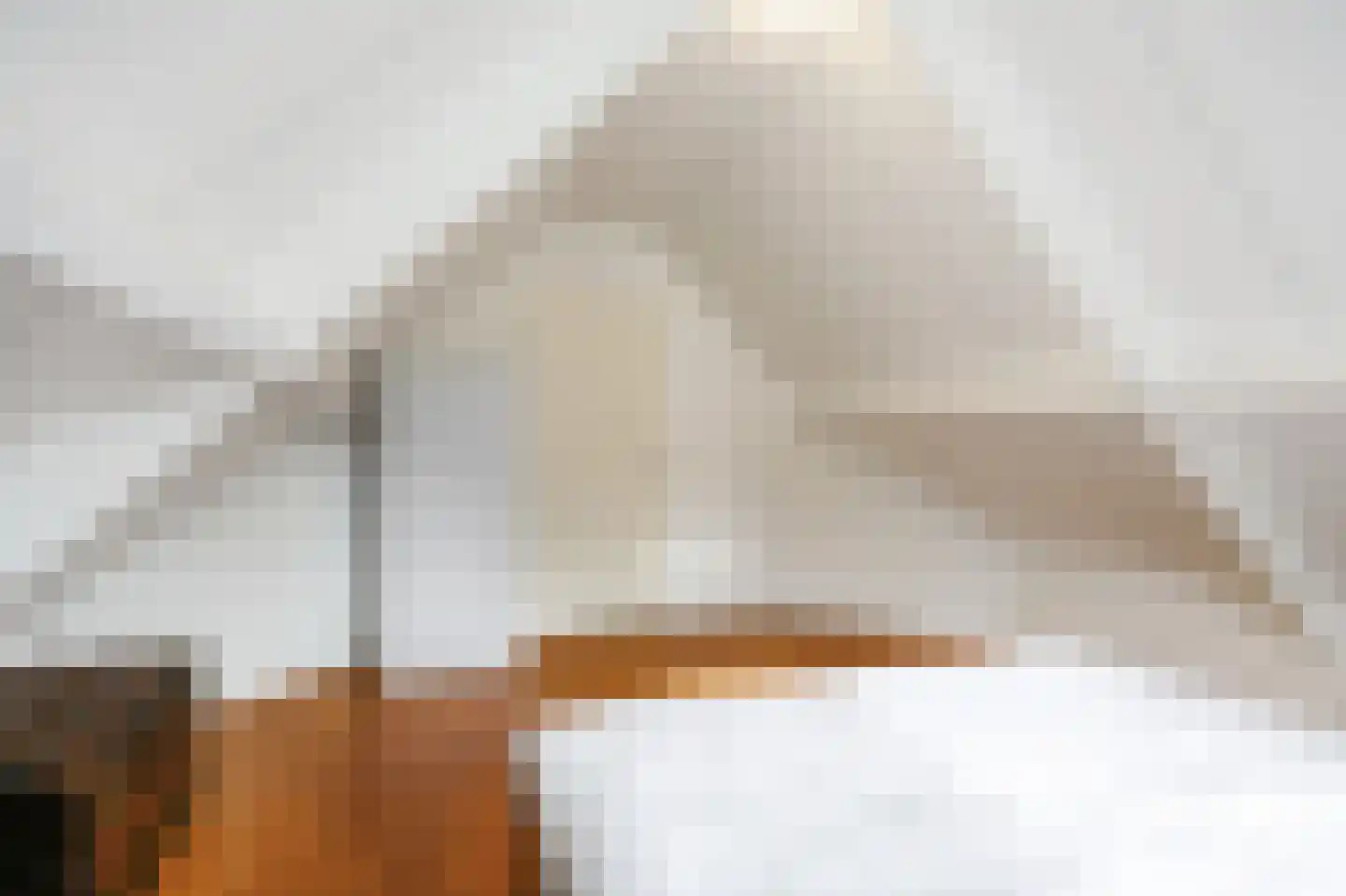 Bargereed 31 Tzummarum thumbnail 33