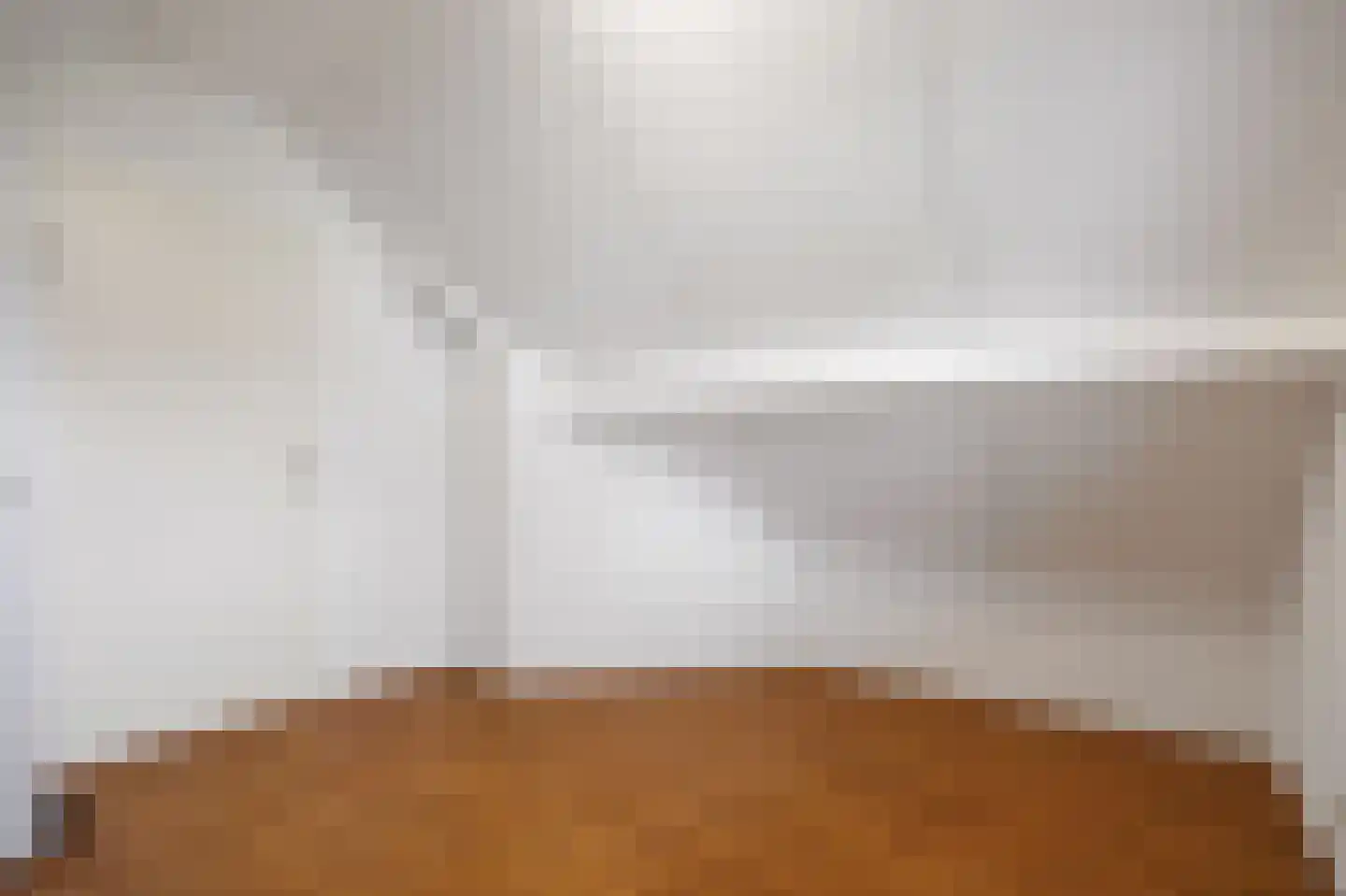 Bargereed 31 Tzummarum thumbnail 36