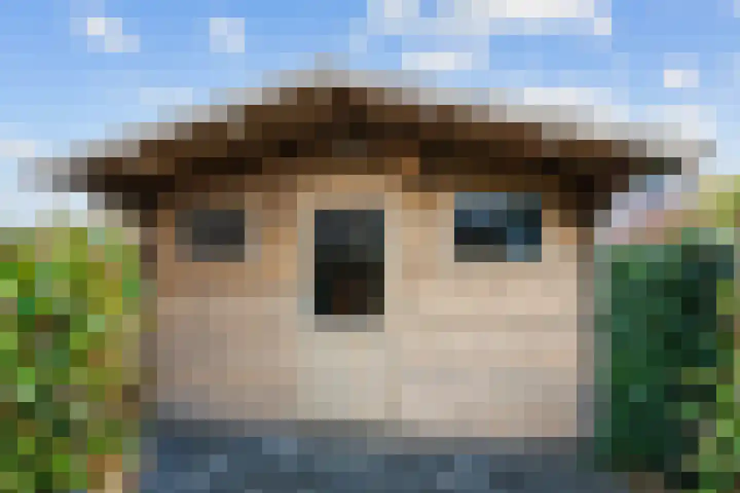 Bargereed 31 Tzummarum thumbnail 42