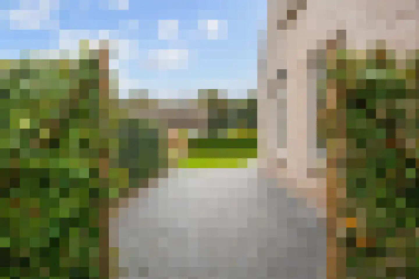 Bargereed 31 Tzummarum thumbnail 43