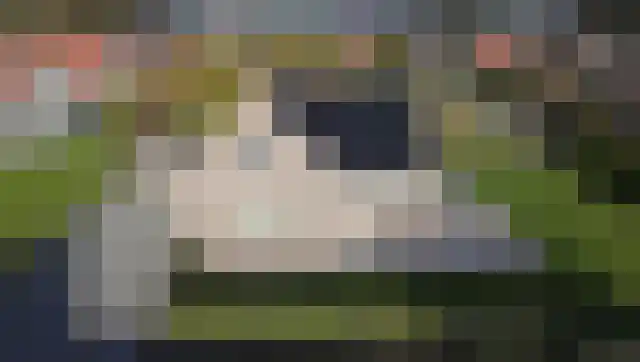 Bargereed 31 Tzummarum thumbnail 47