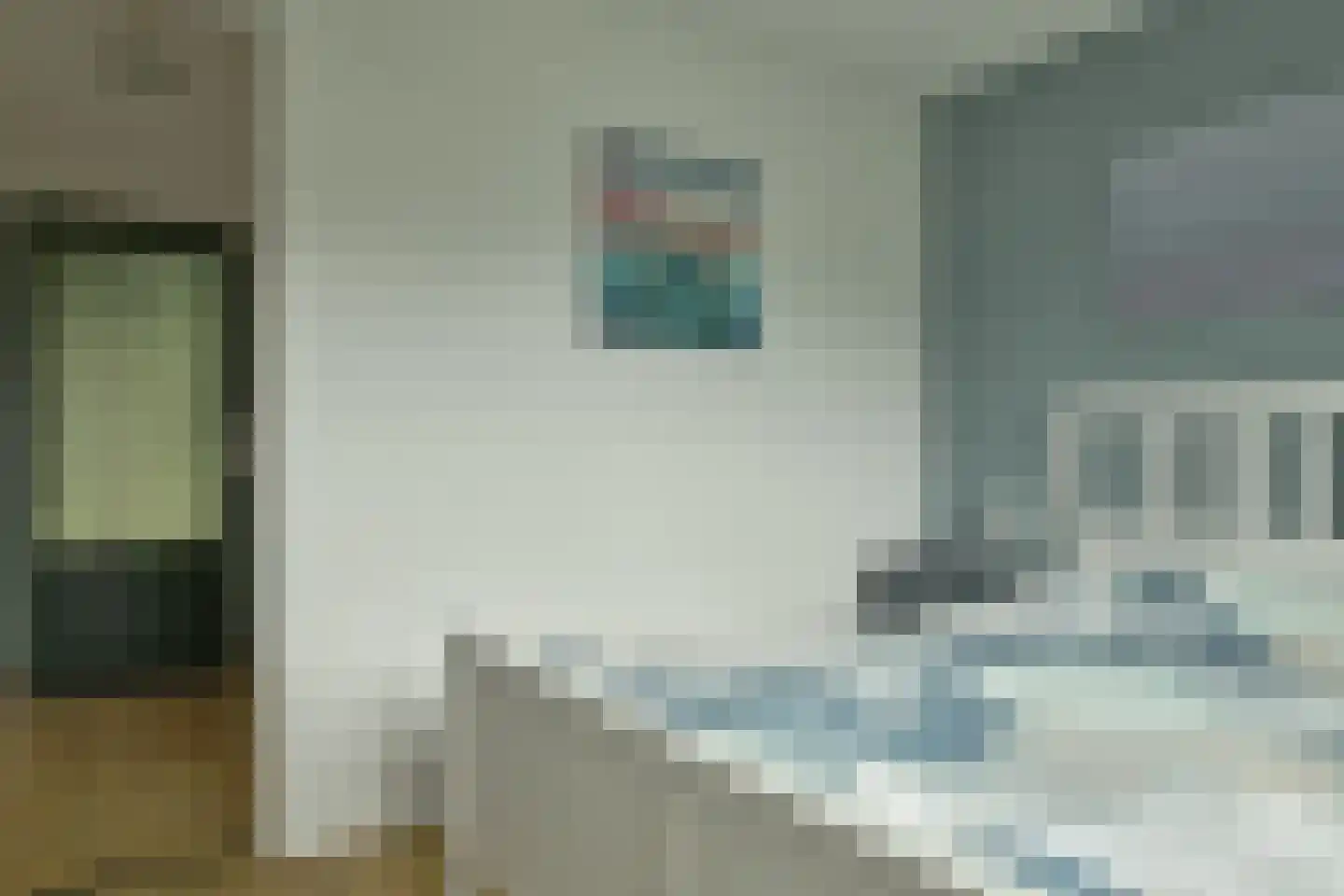 Bargereed 46 Tzummarum thumbnail 13
