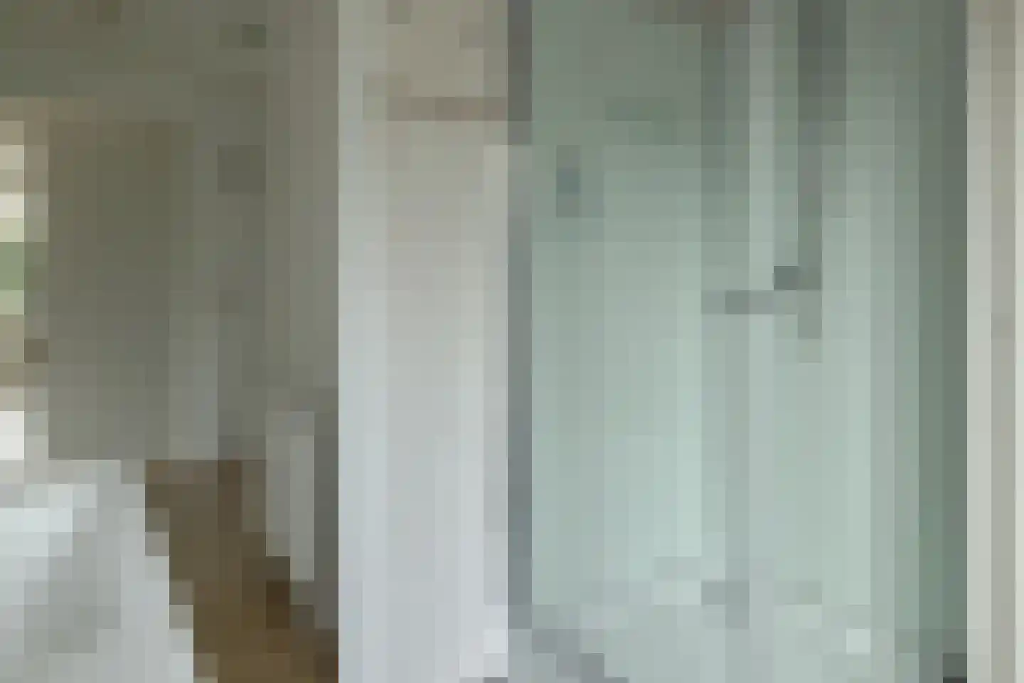 Bargereed 46 Tzummarum thumbnail 18