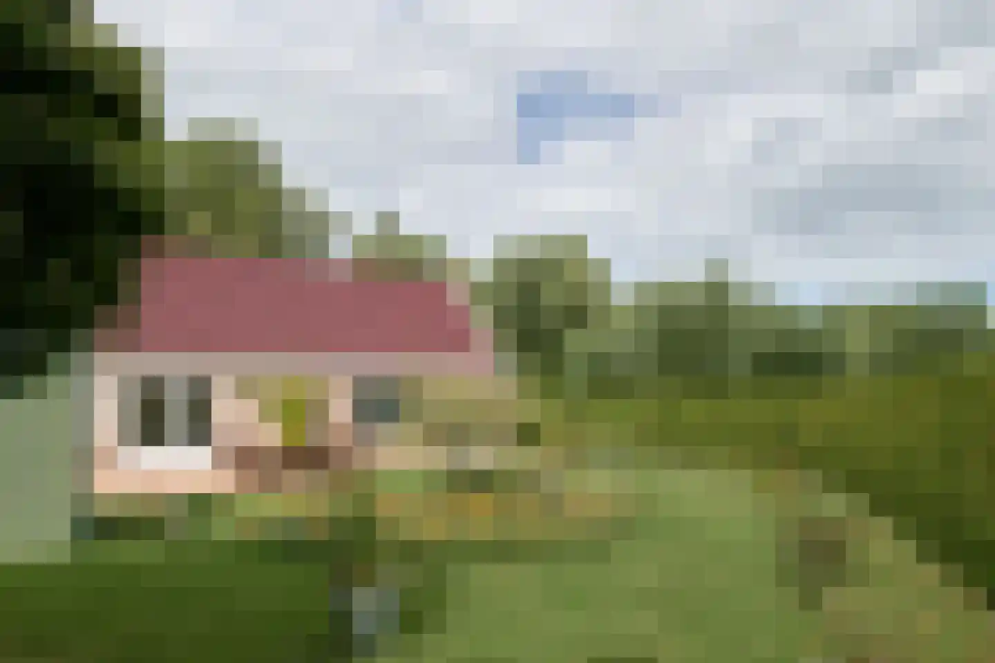 Bargereed 46 Tzummarum thumbnail 25