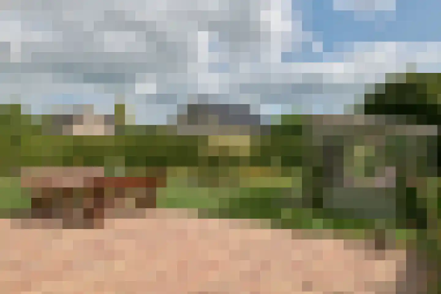 Bargereed 46 Tzummarum thumbnail 29