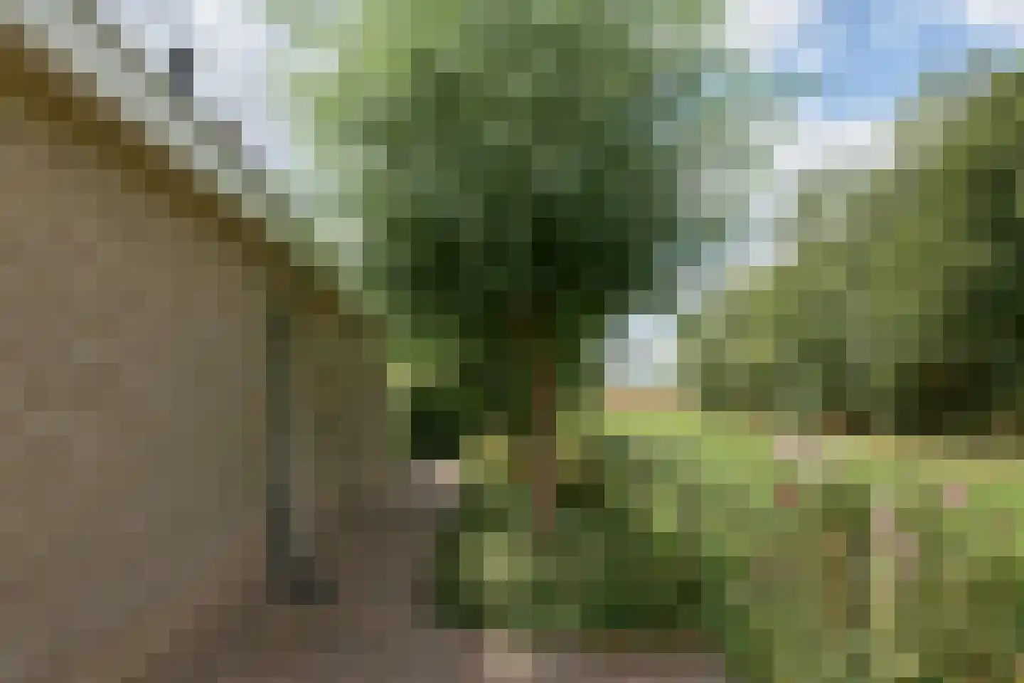 Bargereed 46 Tzummarum thumbnail 30