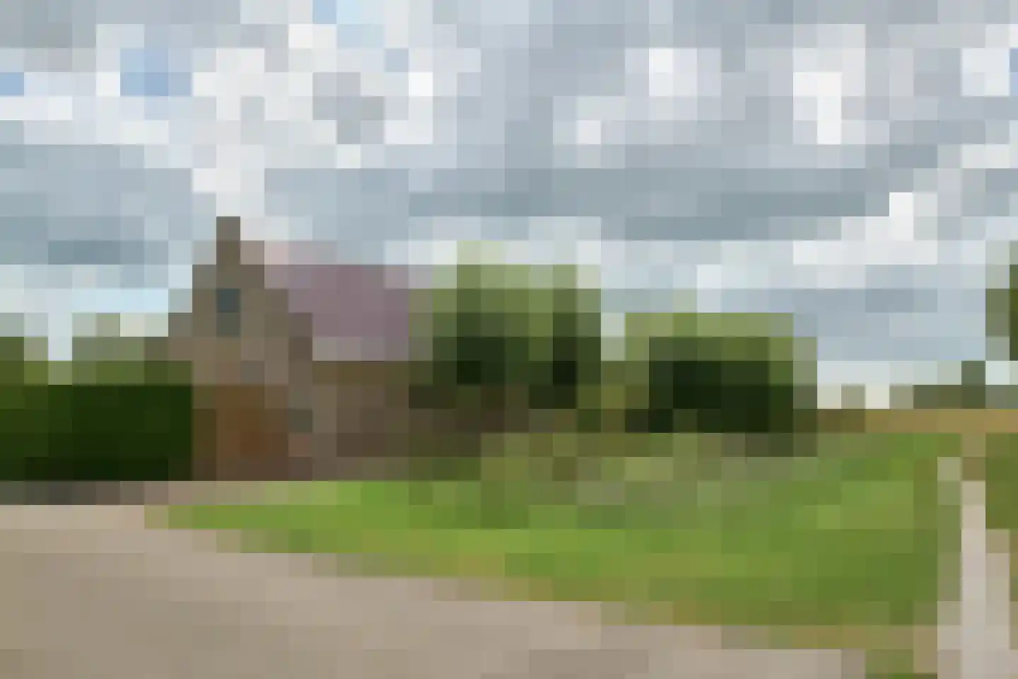 Bargereed 46 Tzummarum thumbnail 31