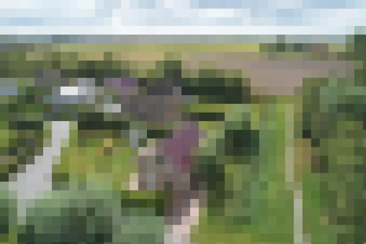 Bargereed 46 Tzummarum thumbnail 32