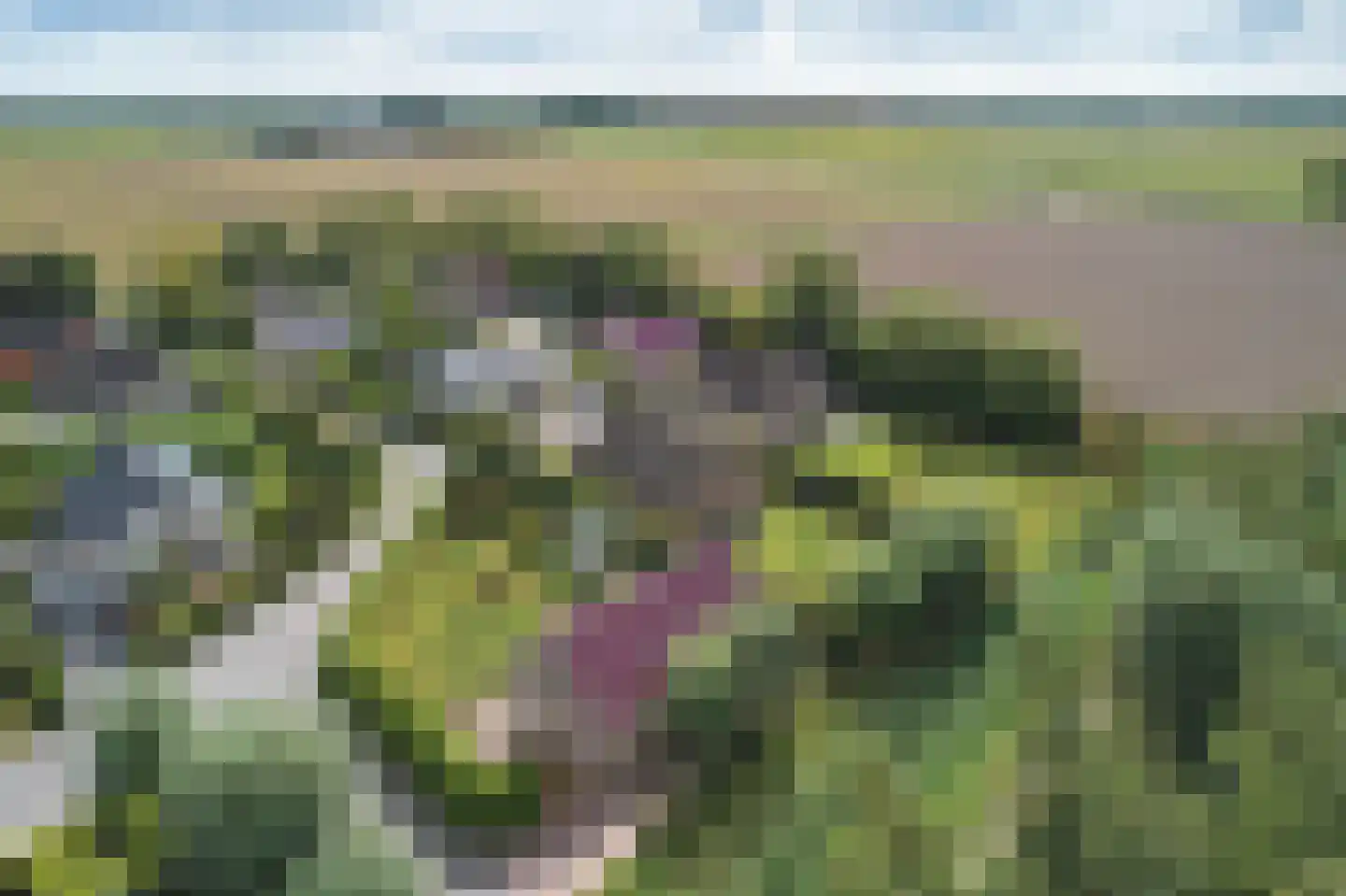 Bargereed 46 Tzummarum thumbnail 33