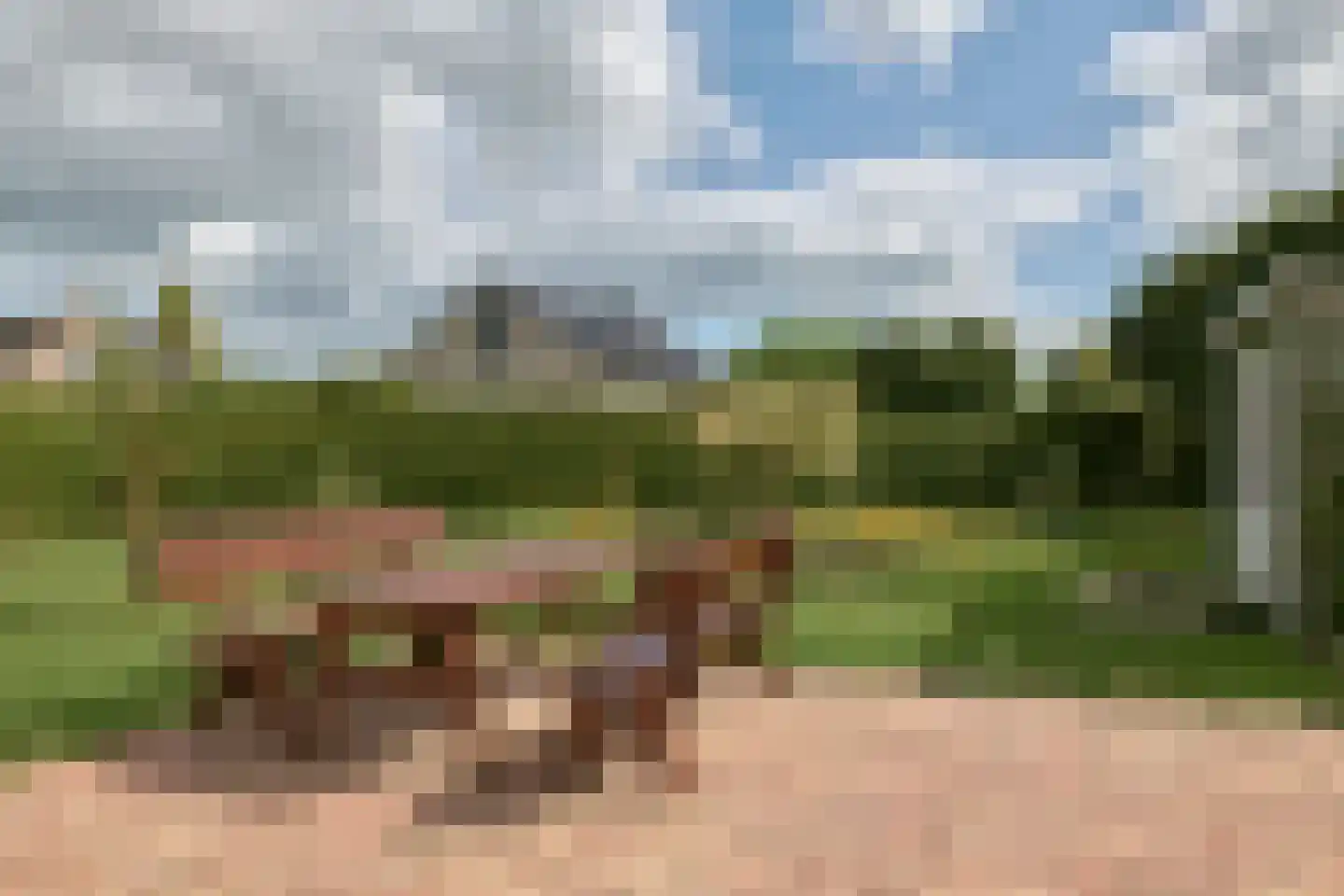 Bargereed 46 Tzummarum thumbnail 4