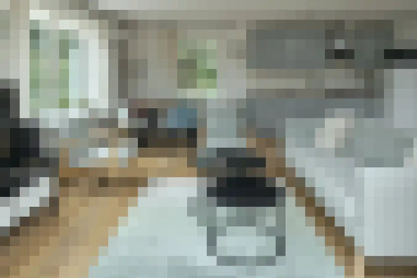 Bargereed 46 Tzummarum thumbnail 8