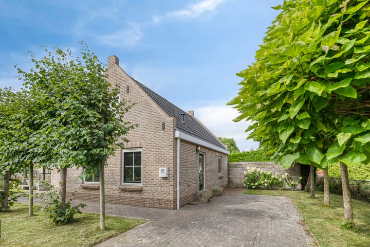 Bargereed 49 en Tzummarum foto