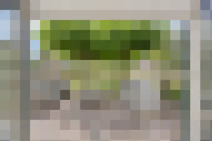 Bargereed 49 Tzummarum thumbnail 11